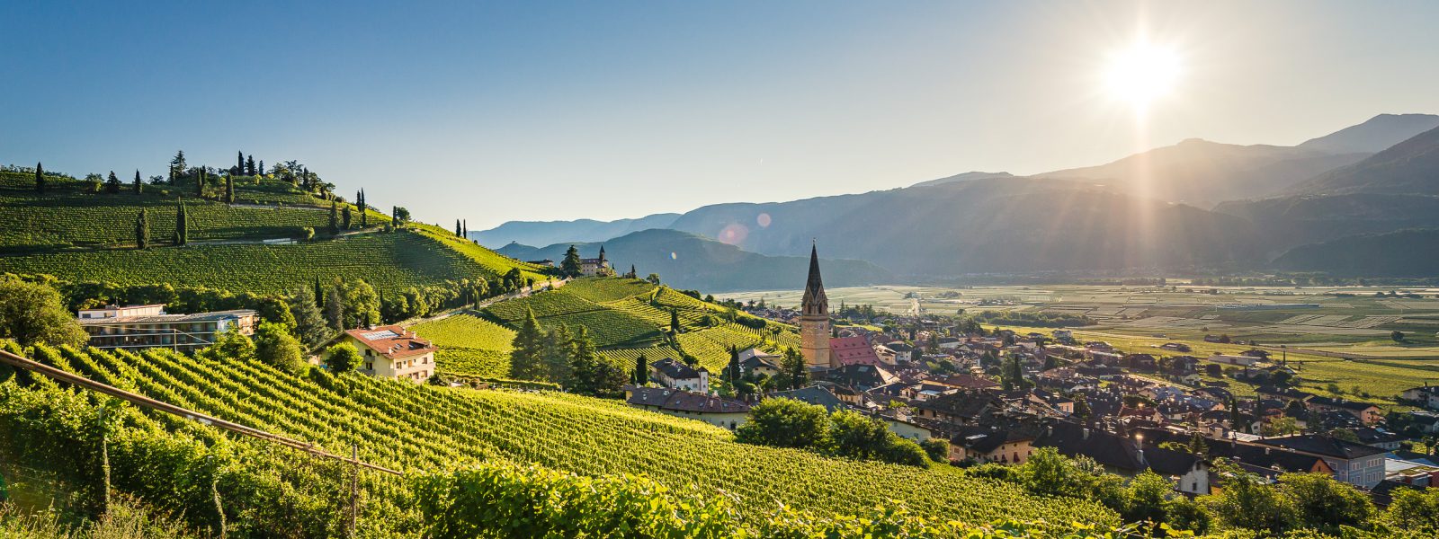 Sunrise in Tramin
