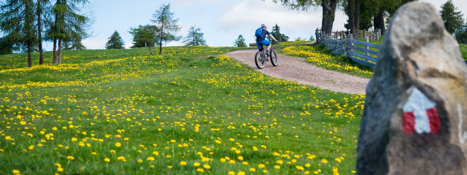 Mountainbiker am Möltner Joch, Tschöggelberg