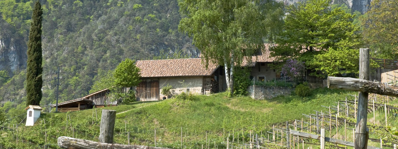 Gummerer Hof