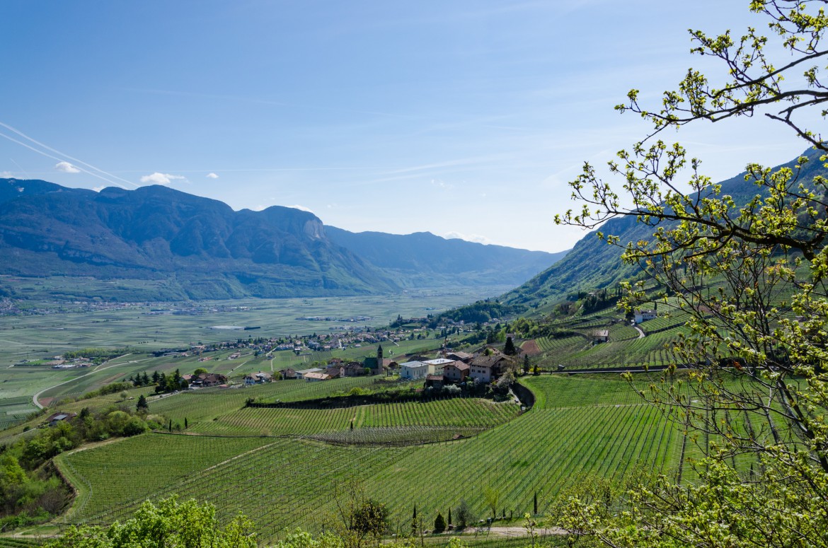 Tramin