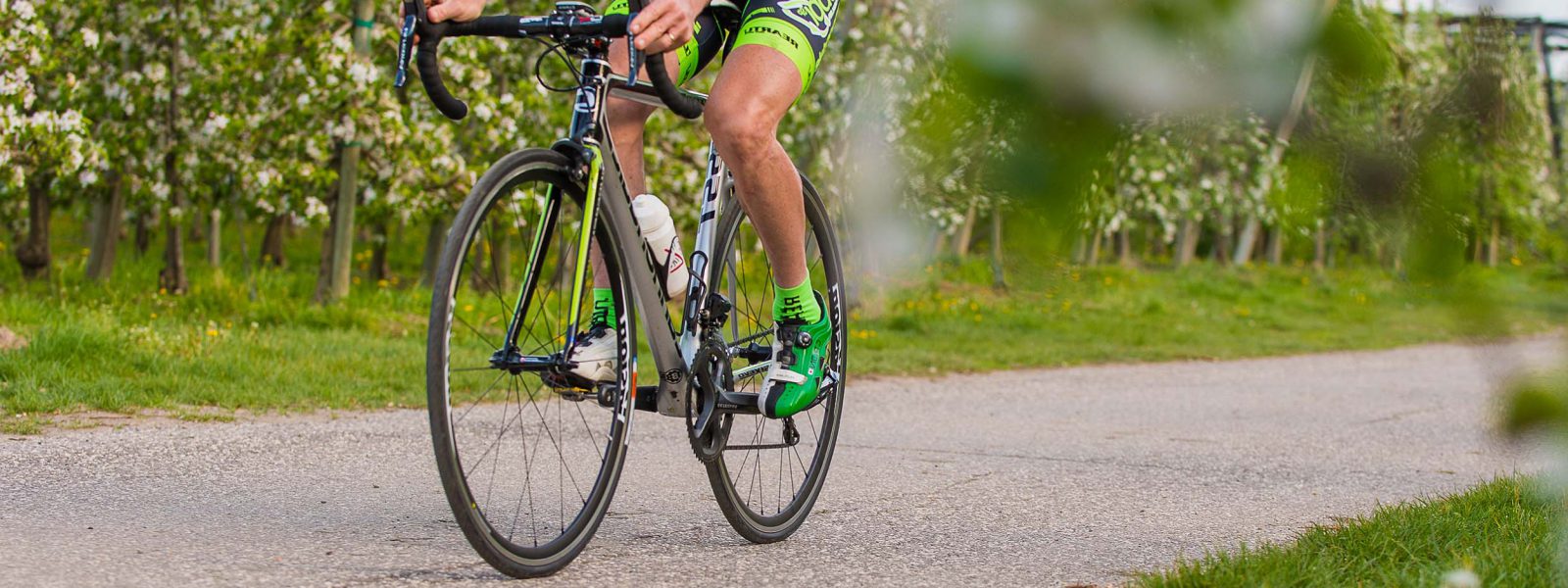 Rennrad Blüte Radverleih