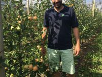 Neue Apfelsorte Tramin