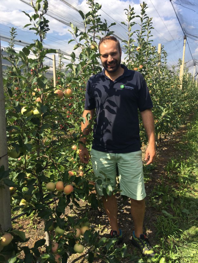 Neue Apfelsorte Tramin