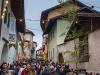 Traminer Weingassl 2017