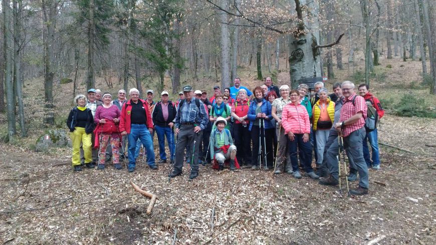 Die heurige Wandergruppe