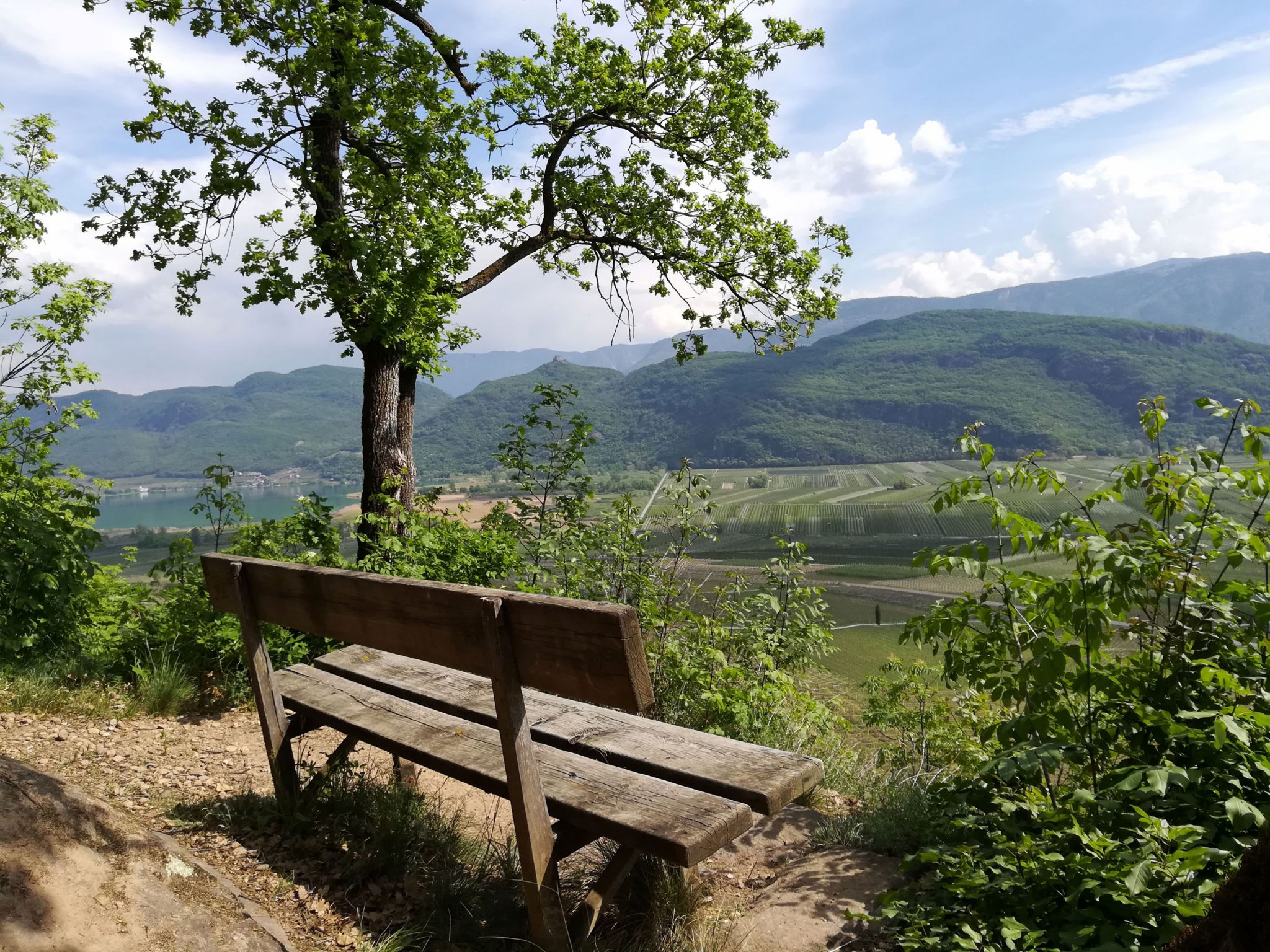 Naturerlebnisweg-Kalterer-See