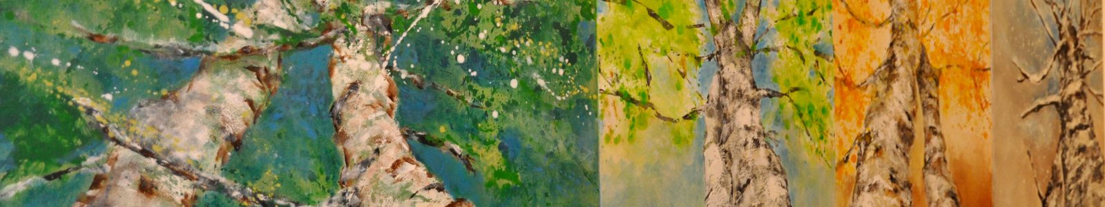 Bilder Ausstellung Evi Andergassen