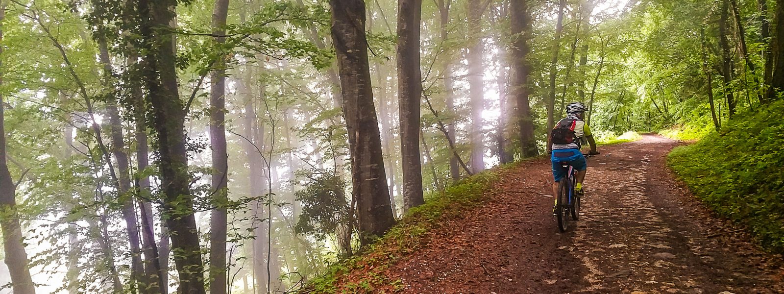 Mountainbike - Altenburg Zoggler