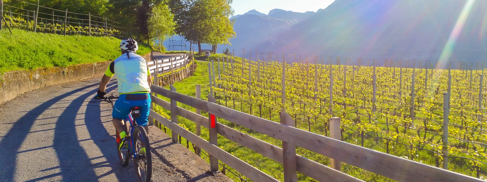 Mountainbike - Pinzon und Truden