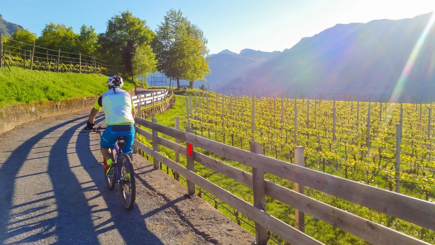 Mountainbike - Pinzon und Truden