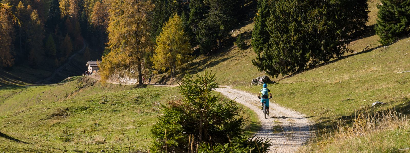 Mountainbike - Romeno Alm