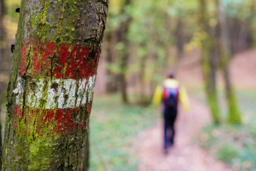 Wanderung Rosszähne im Herbst