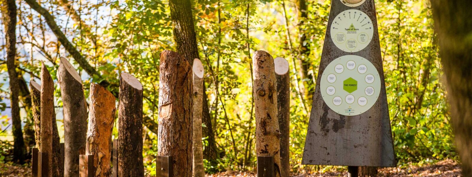 Naturerlebnisweg_Herbst_Themenweg