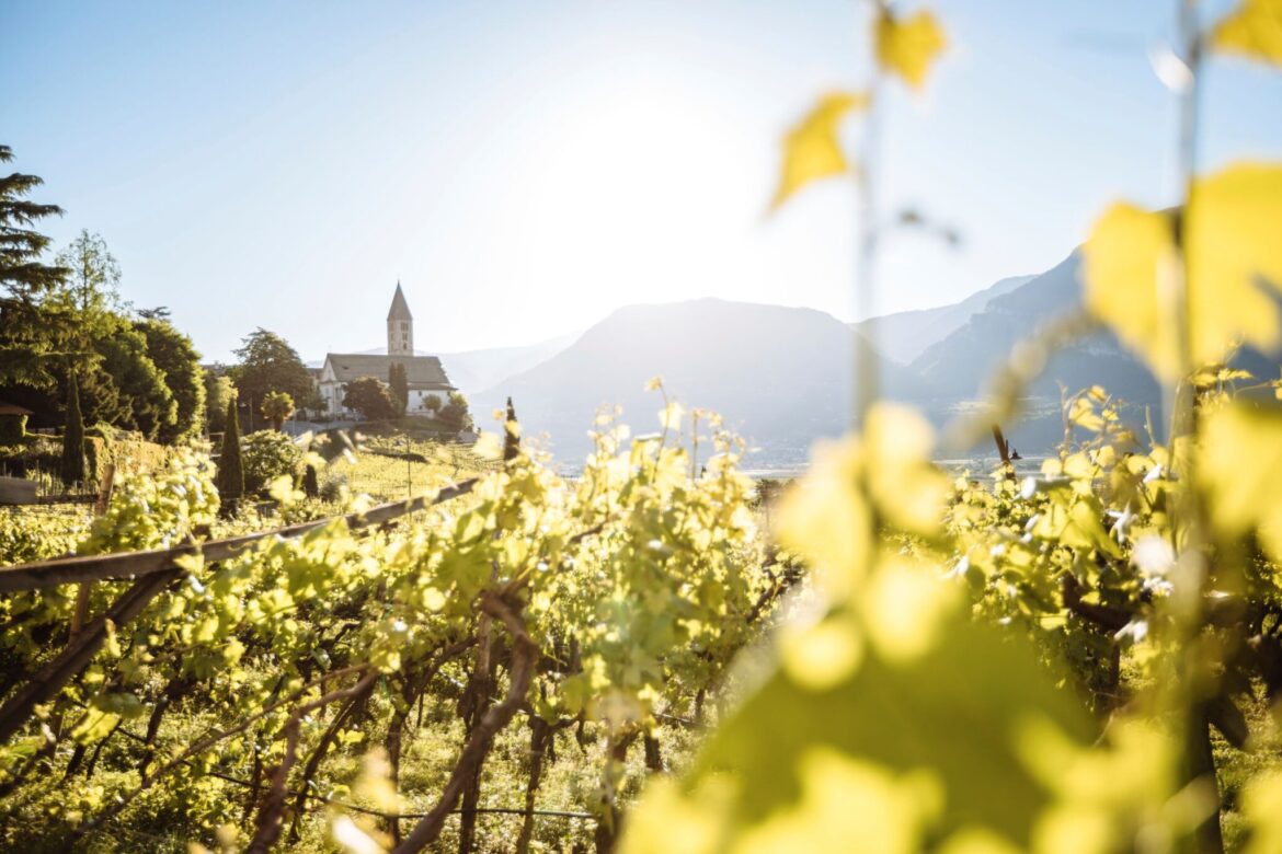 Durch die Weinberge nach Kurtatsch