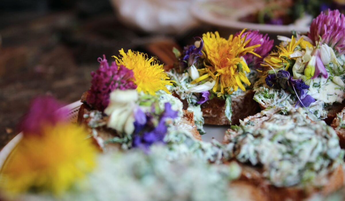 Balance_Kraeuterwanderung_Brotaufstrich