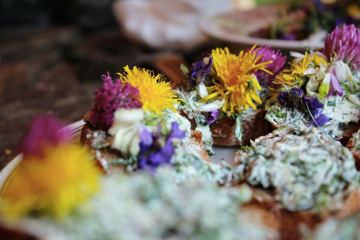 Balance_Kraeuterwanderung_Brotaufstrich