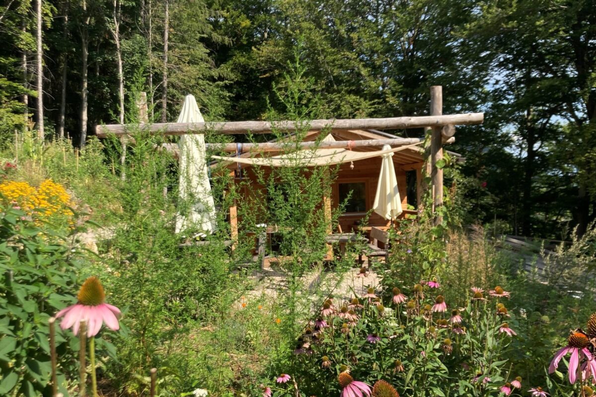 Bild Kraeutergarten2