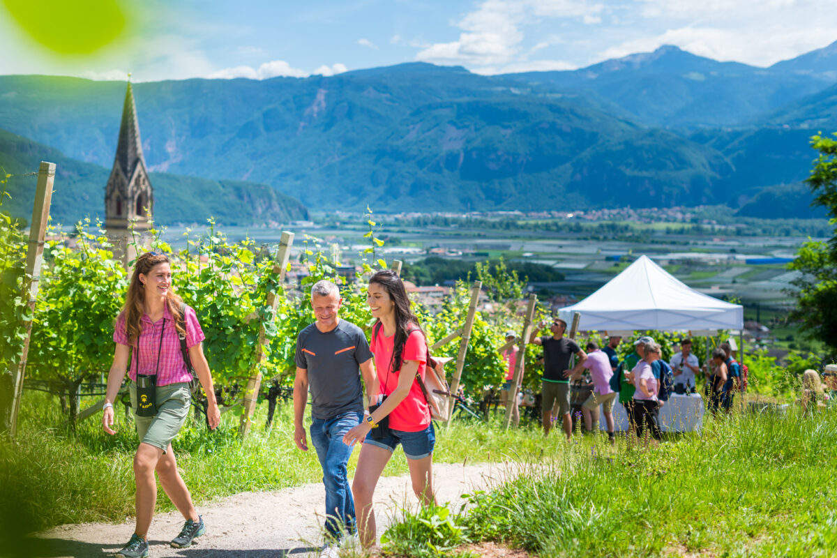 Traminer WineDay