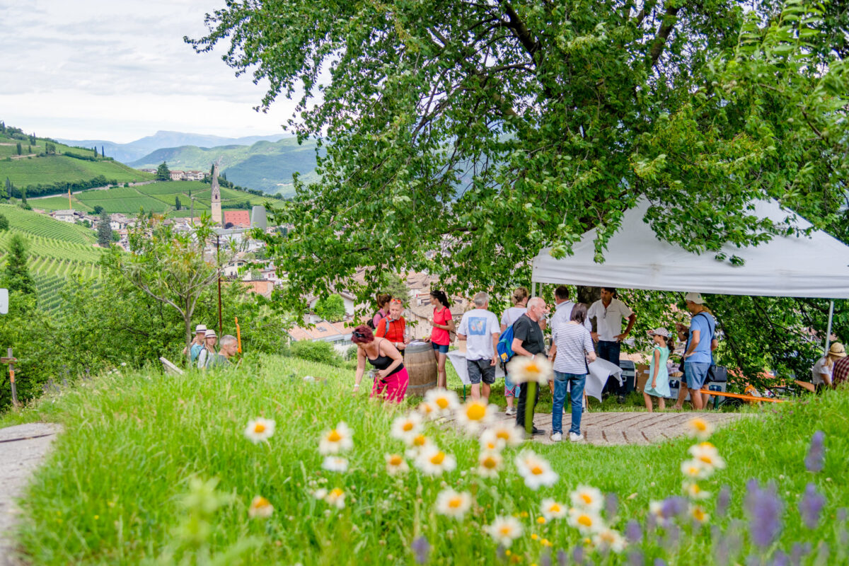 Traminer WineDay