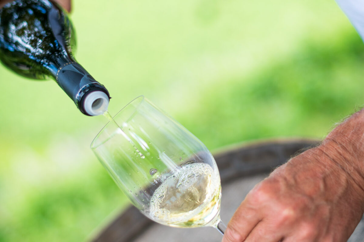 Traminer WineDay