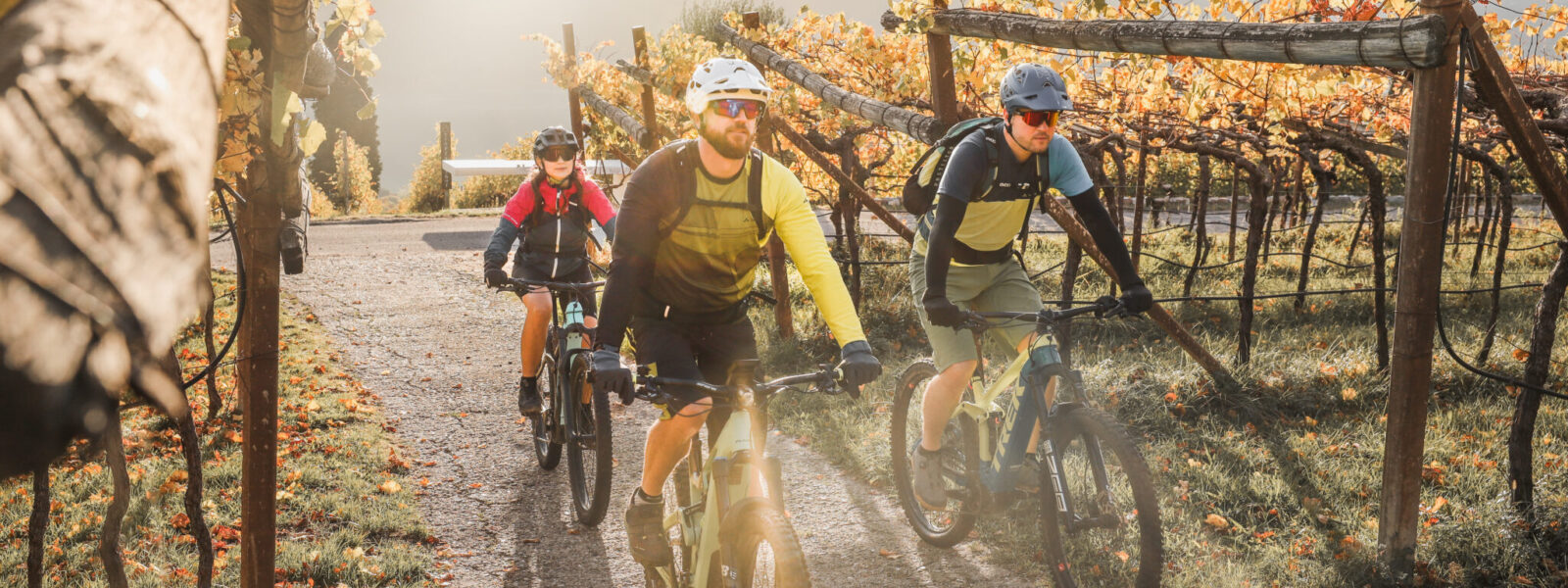 Wine&Bike (C)IDM / Jessica Poier