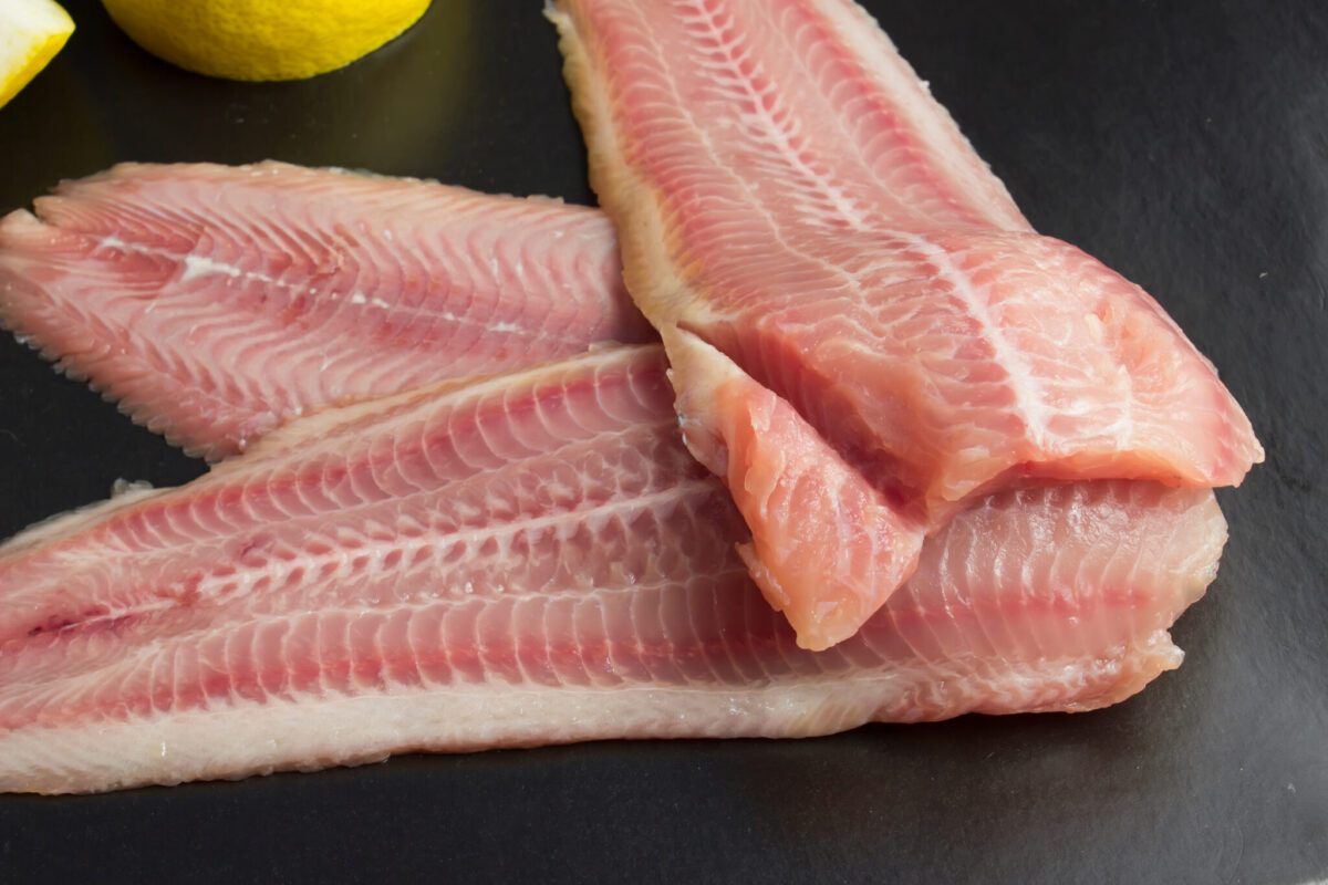 Fresh,,Unroasted,African,Catfish,Fillet.,Black,Background