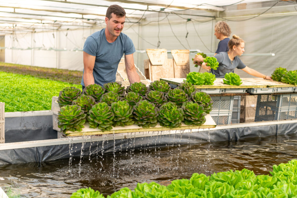 Solos_Farm_3_25- (10)