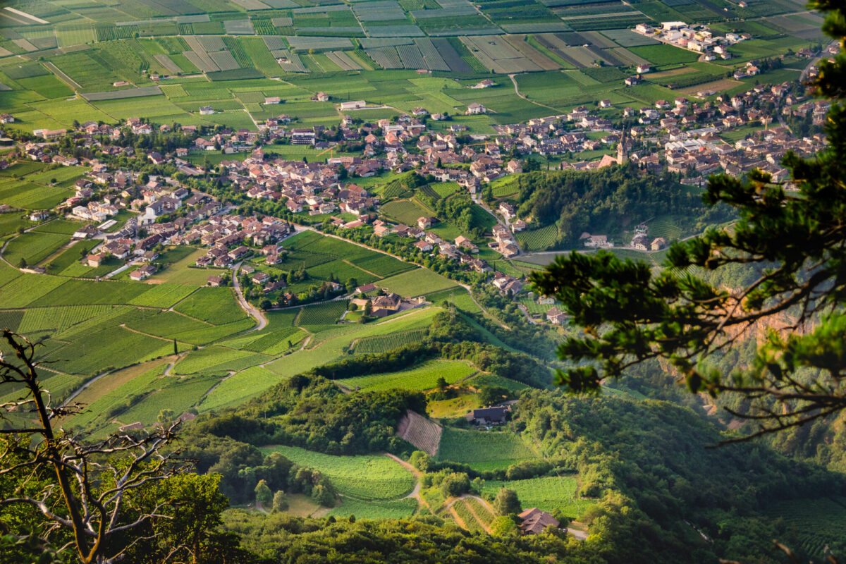 Blick auf Tramin von der Lungenfrisch