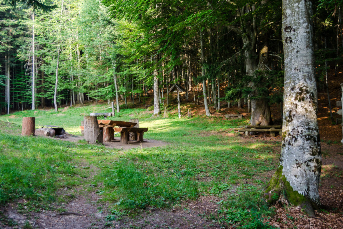 Die Göllerwiese - Wanderung Gummerer Hof - Überetscher Hütte