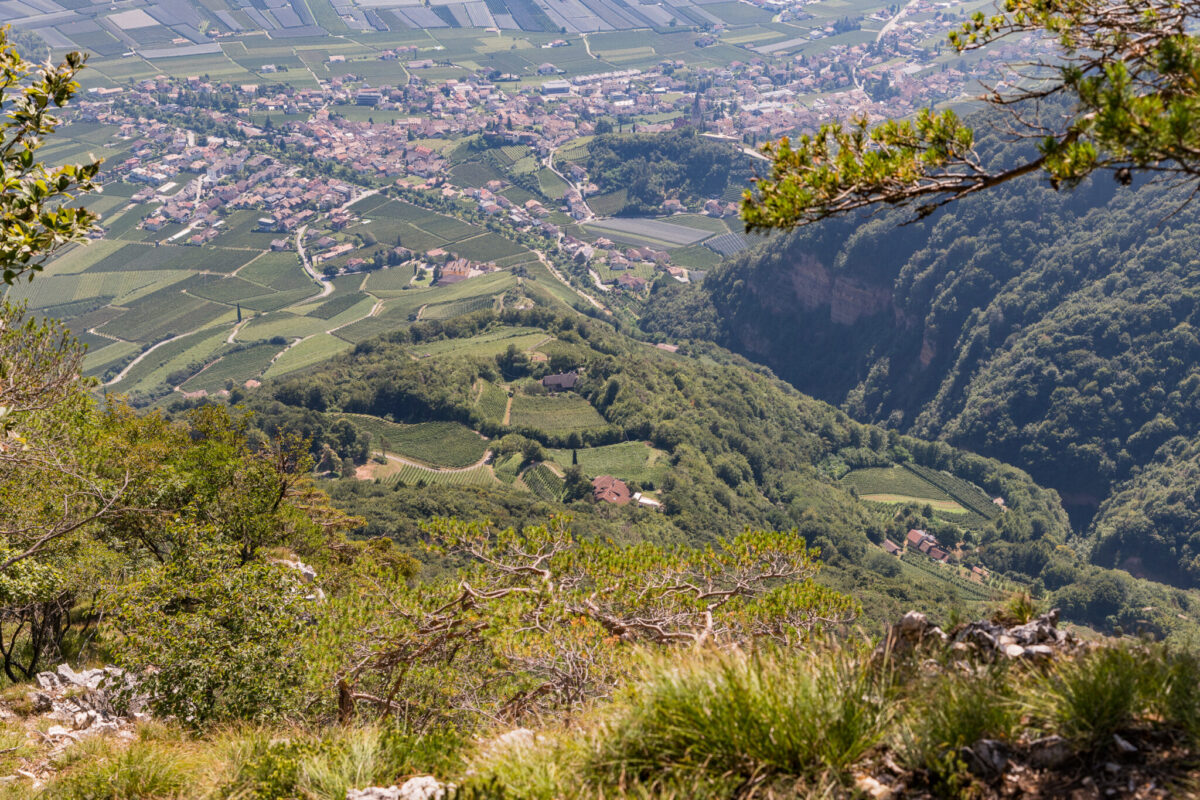 10er Steig, Lungenfrisch, Termeno, Tramin