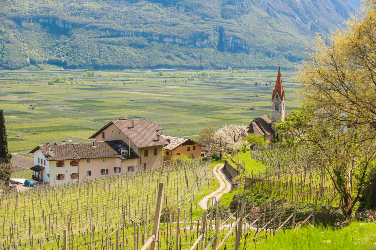 Kirche_Rungg-TVTramin-AntieBraito