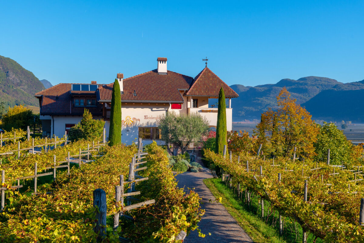 Weinberghof