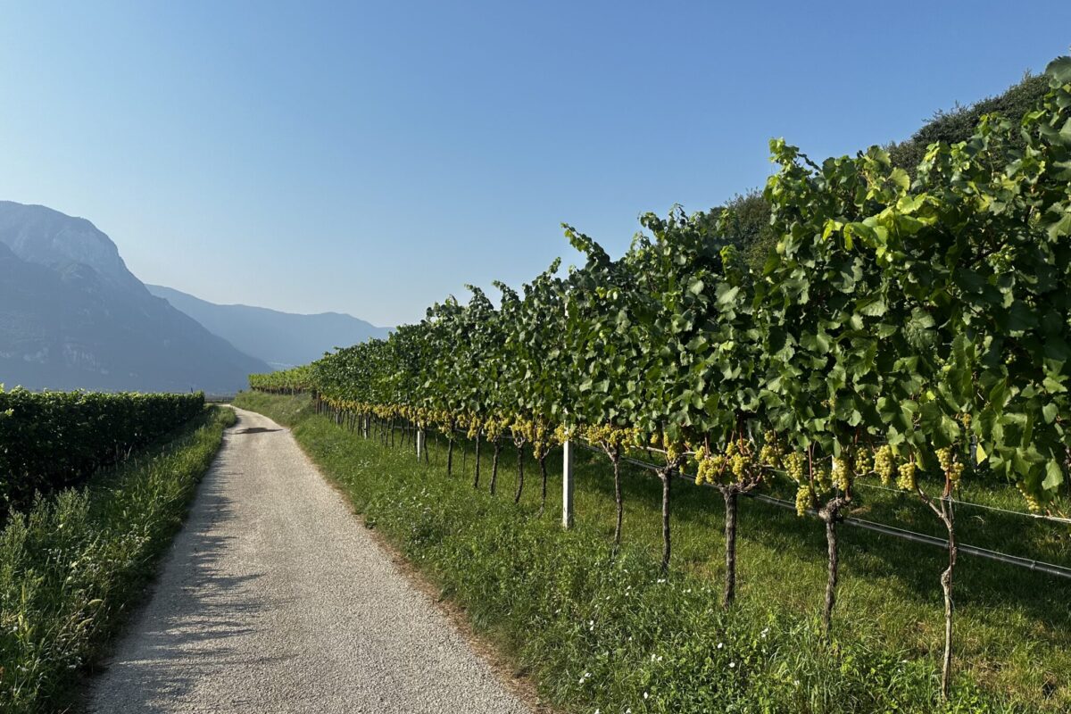Apfelweg