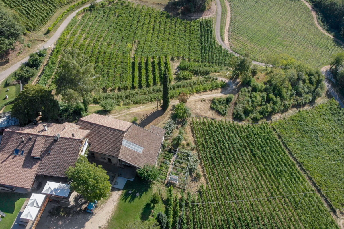 19040101DJI_0041-Circle-5
