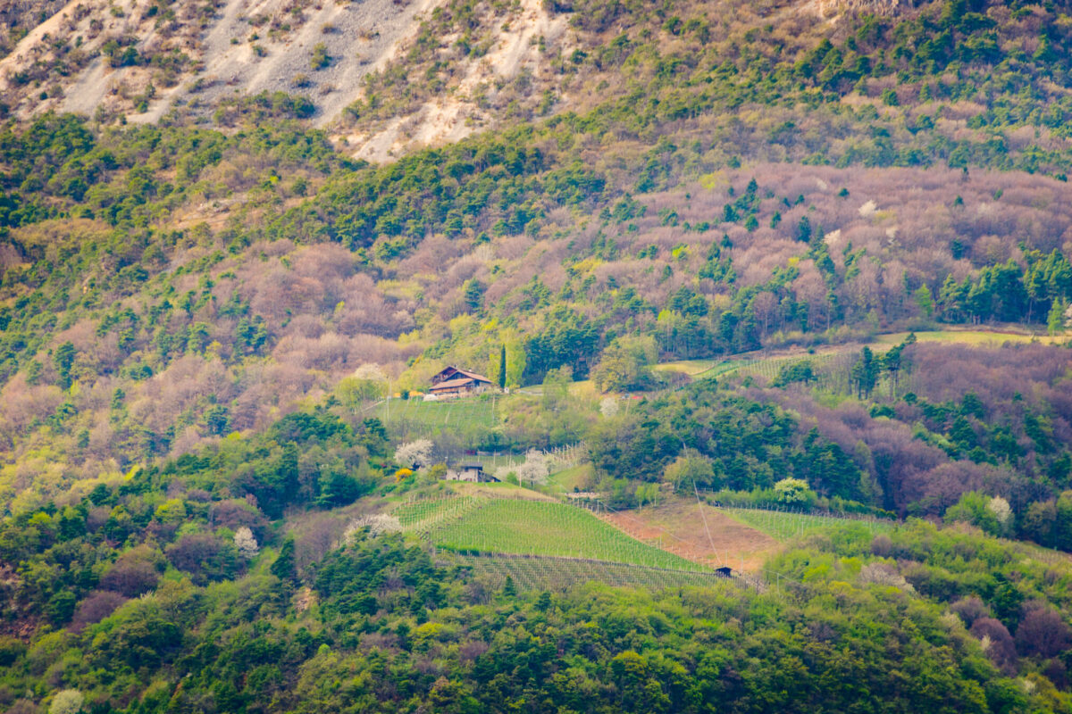 Gummererhof