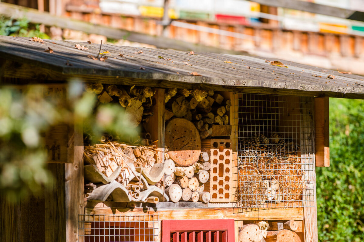 Bienenlehrpfad