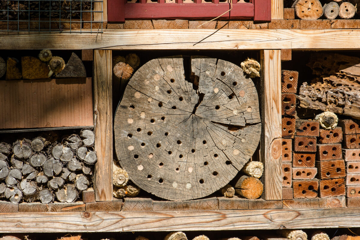Bienenlehrpfad
