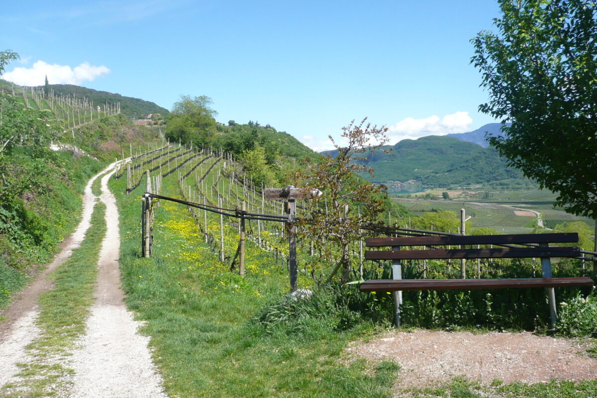 Wanderweg_Söll_Tramin-TVTramin-10