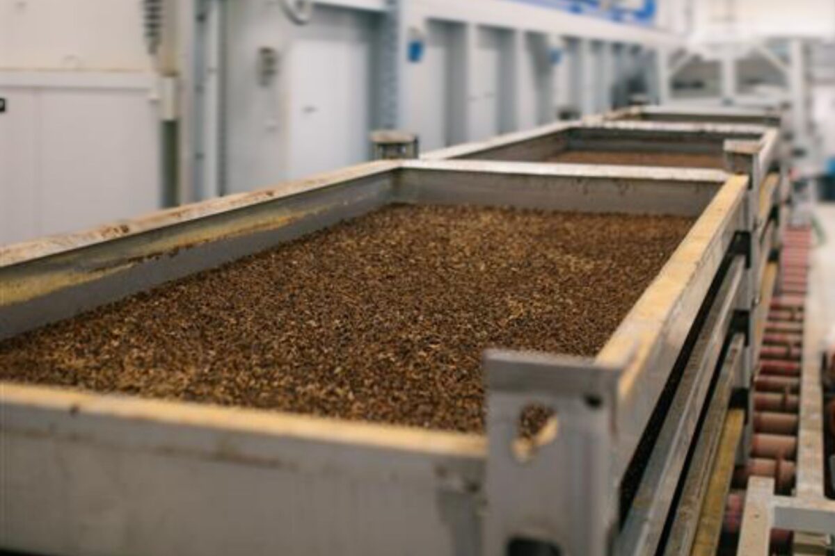 Firefly_Ein-realistisches-Bild-einer-modernen-Produktionshalle-in-der-kleine-braune-zylind-72897-1024x1024 (c) Reploid Italia (1)