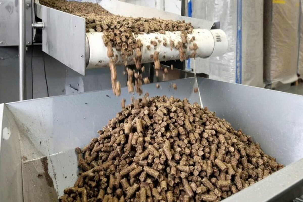 Firefly_Ein-realistisches-Bild-einer-modernen-Produktionshalle-in-der-kleine-braune-zylind-72897-1024x1024 (c) Reploid Italia (3)