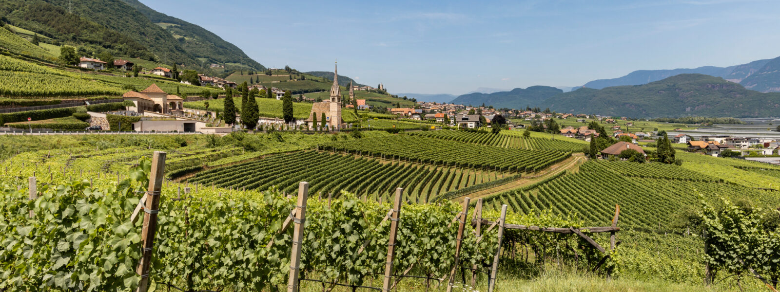 Tramin Südtiroler Weinkultur (c) Valeria Pixner