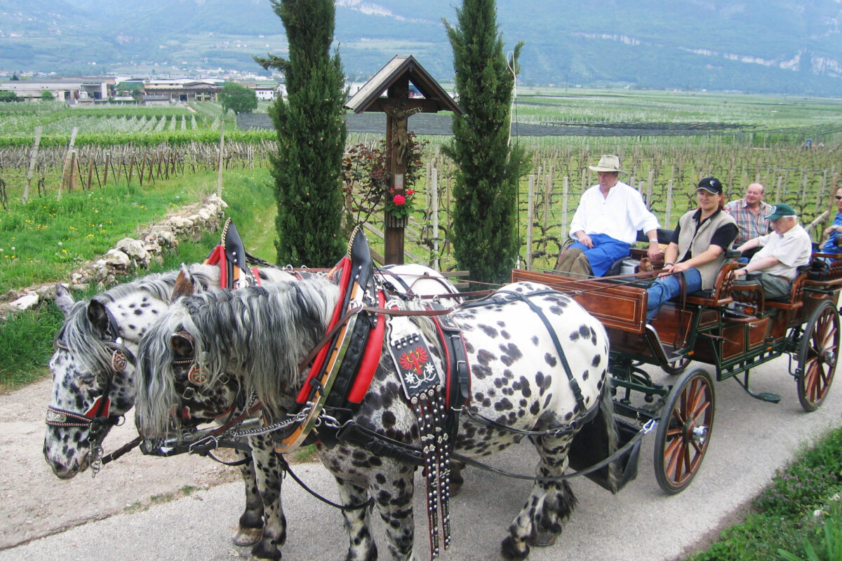 Adolf Mayer in Tramin 3