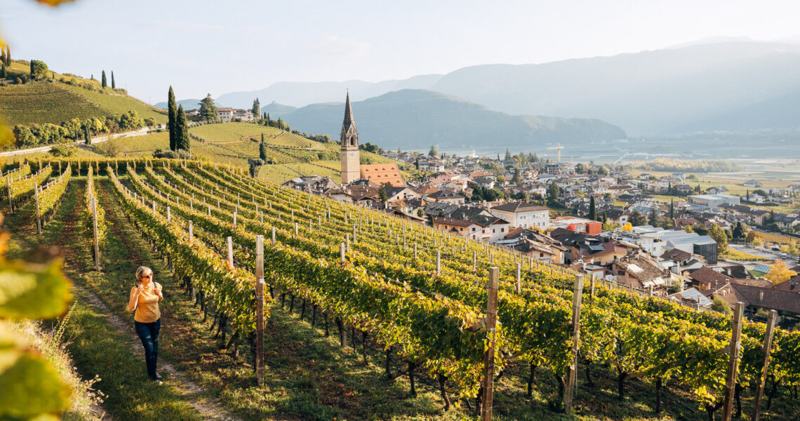 Tramin als Ursprung und Namensgeber des Gewürztraminers